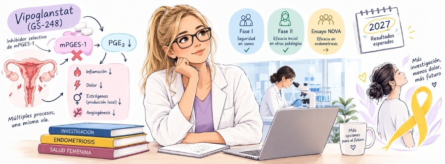 Vipoglanstat: un fármaco no-hormonal contra la endometriosis en investigación
